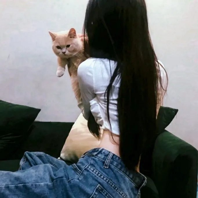 新扎杀手